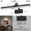 RAIFOOLLY Picture Lights for Wall, Battery Painting Light with Remote