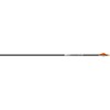Easton Axis SPT Shafts 300 1 doz.