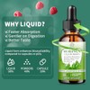 Gotas líquidas de moringa, suplementos de moringa pura con cúrcuma,