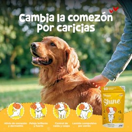 Waggy’s Shine - Suplemento Natural para Piel y Pelo en Perros | Pelaje Brillante, Suave y Fuerte | Reduce Caída, Alivia Comezón y Lamido Compulsivo | Omega 3, Biotina y Vitamina C | 60 Soft Chews