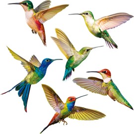 Blulu 6 Pieces Large Size Hummingbird Window Clings Anti-Collision Decals to Prevent Bird Strikes on Window Glass Non Adhesive Vinyl Cling Hummingbird Stickers(6 Pieces)