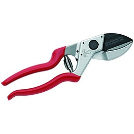 DUE CIGNI 2C 381/21 SK-5 PTFE Blade Anvil Pruning and Gardening Shears, Red, 25 mm