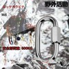 Lissey SUS304 Stainless Steel Ring Catch Carabiner with Lock D-Ring
