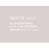 SHIRO White Lily Hand Serum, 2.0 oz (55 g), Hand