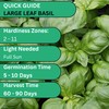 Woods Creek Seeds: Italian Large Leaf Basil Seeds for Planting