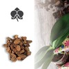 Kalapanta - Bark for orchids, substrate, bark for orchids, ideal