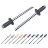 Pack of 100 Painted Blind Rivets 3.2 x 8 mm,
