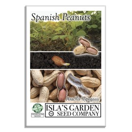 Spanish Peanut Seeds (Arachis hypogaea) – 20 Non-GMO Heirloom by Isla’s Garden Seeds, Early-Maturing Variety with Bold Flavor, Great for Roasting, Snacking & Home Garden Growing