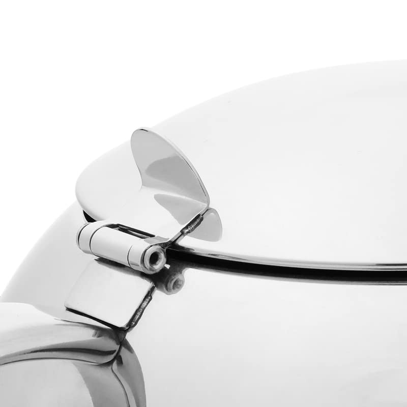 Stainless Steel Teapot with Lid, Drip-Free Spout, Modern Design, Loose