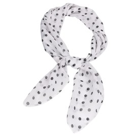 FAIRYGATE Polka Dot Scarf Ladies Printed Chiffon Scarfs for Women Sheer Shawl Lightweight Scarves Fashion Large Wrap A2822