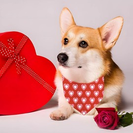 Valentine's Day Dog Bandana, 2 Pack Adjustable Holiday Party Birthday Pets Valentine Day Bandana Triangle Bibs Cat Scarf Set