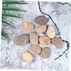 TEHAUX 10 Pack Hand Painted Stones Set with Bracket Kids