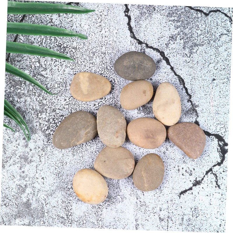 TEHAUX 10 Pack Hand Painted Stones Set with Bracket Kids