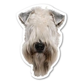 Magnet America Soft Coated Wheaten Terrier Dog Magnet is 5.75" x 3.875" Made for Vehicles and Refrigerators