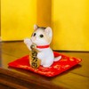 Devalier cb039m Maneki Neko Cat Figurine Healing Prosperous Business Evil