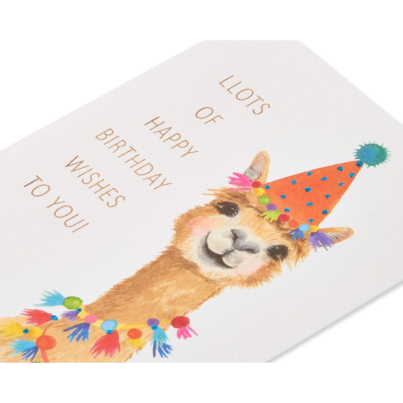 Papyrus Birthday Card for Kids (Have Fun)