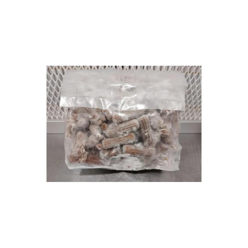 100 Tapones De Hongo Melena De León Para Cultivo De