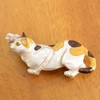 Parnar Topock Obi Belt Clip, Naughty Three Hair, Cat, Realistic,