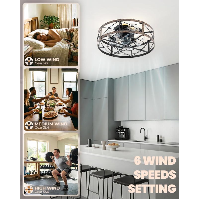 Sewterolyn Ceiling Fans with Lights and Remote, 20 inch Industrial