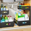 Under Sink Organizer, 2 Pack 2 Tier Pull Out Under