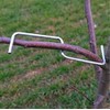 LEILIN The fruit branch spreader forms stronger branches on cherries