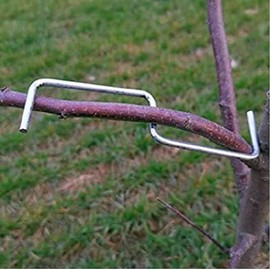 LEILIN The fruit branch spreader forms stronger branches on cherries and other fruit trees to support the growth of new branches, branch support (24 per pack) (S-3.9 inches))