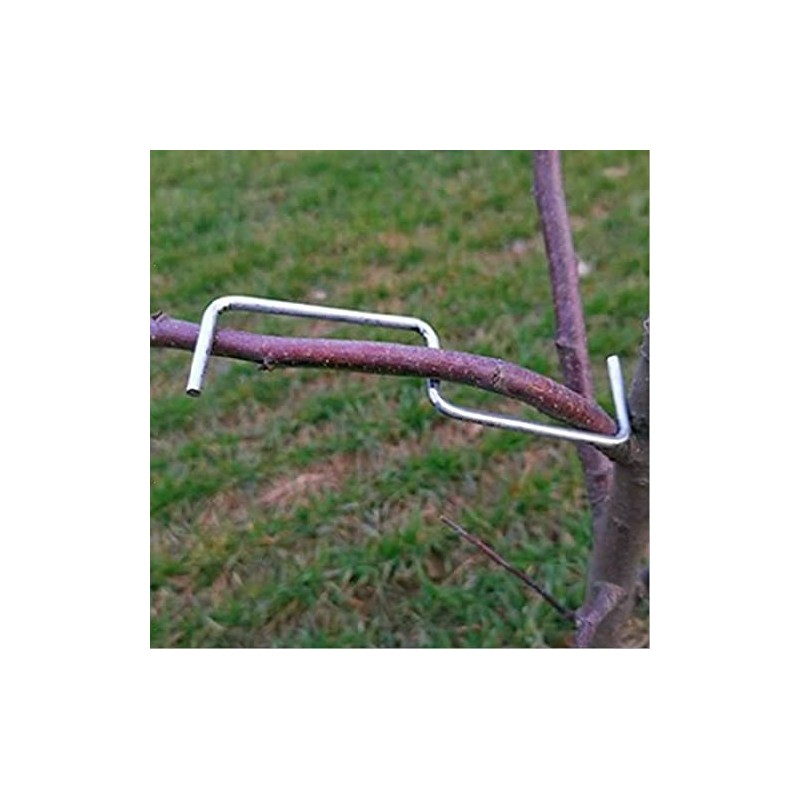 LEILIN The fruit branch spreader forms stronger branches on cherries