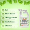 Mighty Mint Peppermint Oil Lawn & Yard Bug Control Spray