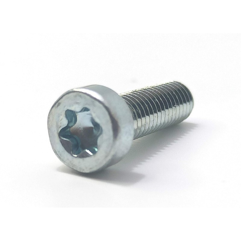 (8pcs) T25 Torx 5MM 20MM Bolt Spline Screw IS-M5x20 for