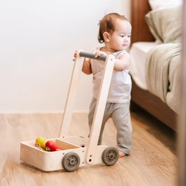 PlanToys Musical Bird Walker