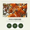 Partner company Skinbolic Vitamin Foam Cleansing 150ml / 스킨볼릭 비타민