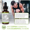 Benevolent Chlorophyll Liquid Drops Organic Detoximmune