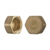 3/8" inch Thread Brass Pipe Screw Hex Female Blanking Plug