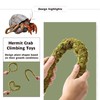 Hermit Crab Accessories, Natural Adjustable Hermit Crab Climbing Toys Bendable