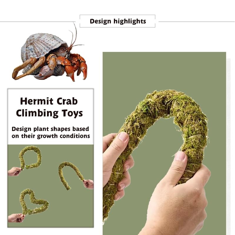 Hermit Crab Accessories, Natural Adjustable Hermit Crab Climbing Toys Bendable