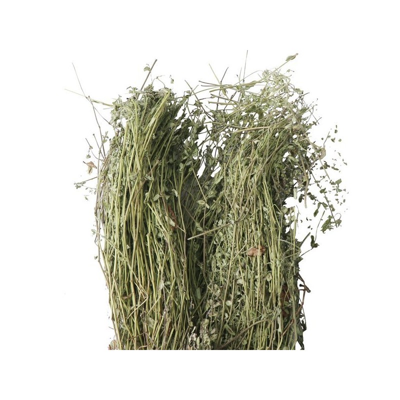 Donguihanjae 동의한재 국산 햇 비단풀 땅빈대 300g Korean Domestic Fresh