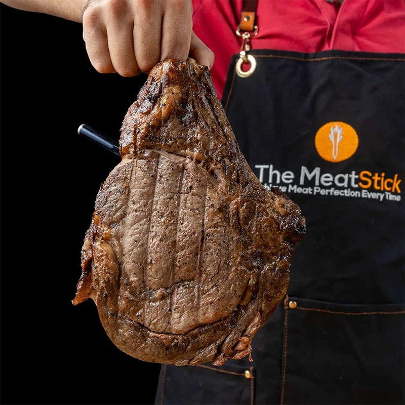MeatStick 4 (One-Probe Set) | Quad Sensors Smart Wireless Meat