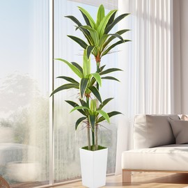Aritificial Dracaena Tree 6FT Faux Floor Plant in Tall White Pot with Realistic Trunks and 46 Leaves Fake Tropical Yucca Plant for Home Office Decor Indoor Outdoor Housewarming Gift