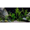AWERT Vinyl Underwater Aquatic Plant Fish Tank Background Stone River