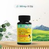 네이처맥스 브라질 그린 프로폴리스 비타민C 앤 아연 500mgX90캡슐 1박스(3개월) NatureMax