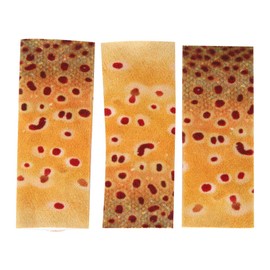 Fishing Finger Guards, 3PCS Fly Line Stripping Guard Protective Fish Skin Pattern Single Finger Guards Protect Accessory