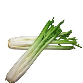 Lorigun Celery, Artificial Vegetables, Green Fake Vegetables for Decoration, Home Decor Market Display Kids Toy Kitchen Decoration Celery Stick 2Pcs