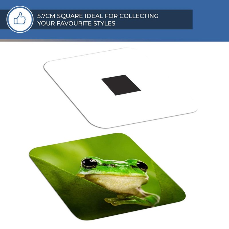 Destination Vinyl ltd Fridge Magnet - Green Tree Frog Jungle