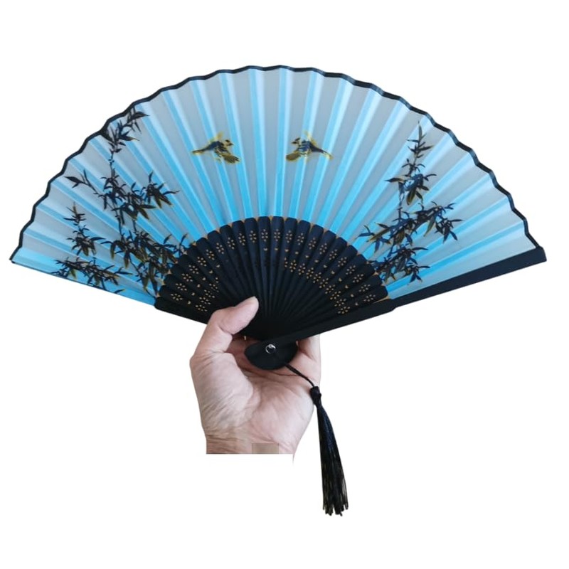 VX Folding Fan Case (VX-SORA)