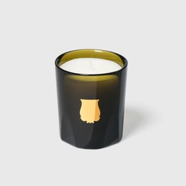 Trudon Gabriel Petite Candle 2.47 oz - Gourmand Chimney Fire