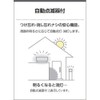 Koizumi Lighting AU43657L Security Light with Automatic Flasher, FL20W Equivalent,