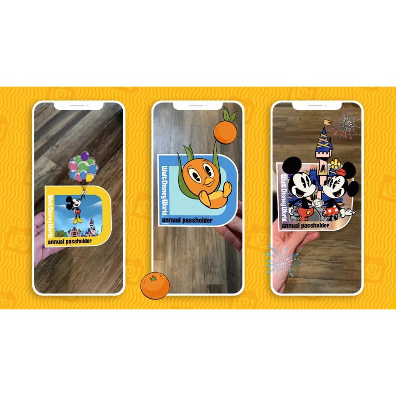 Passholder Magnet Set Of 10 Magnets (Homemade)