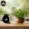 DYNOMYCO Spark 3 in 1 Mycorrhizal Inoculant Root Enhancer Powder