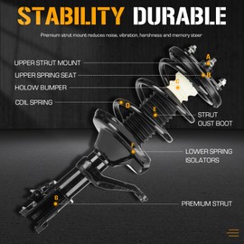 Front Complete Strut Shock Absorber w/Coil Spring Fit for Honda CRV CR-V 4WD FWD 2002 2003 2004 2005 2006, 172144 172143 (Set of 2)