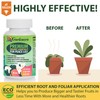 Organic Peace Lily Elixir by Gardenera - 32 oz -